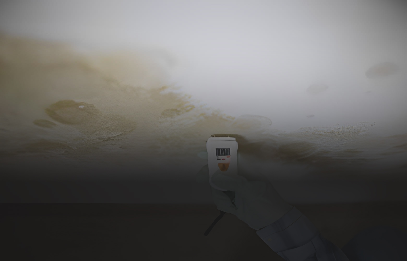 Checking for moisture after mold growth