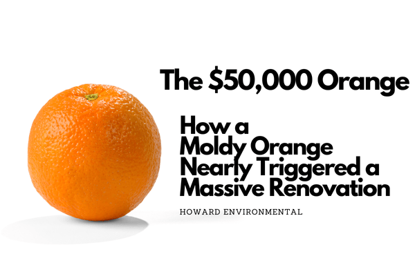 $50,000 Orange: How a Moldy Orange Nearly Triggered a Massive Renovation
