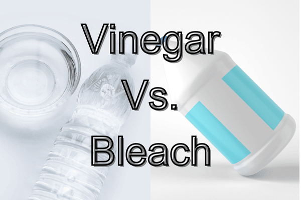 vinegar vs. bleach for mold