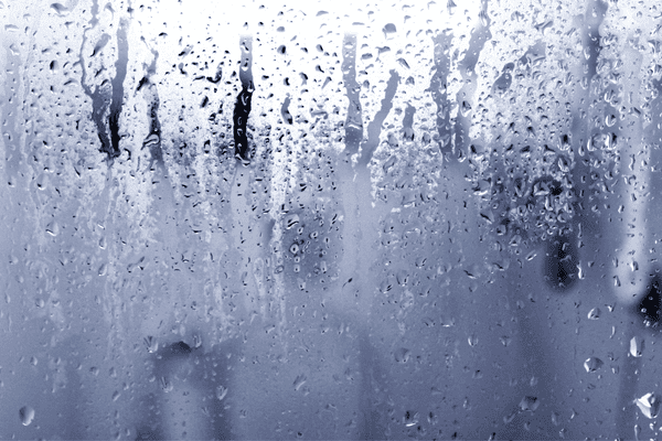 ideal indoor humidity levels