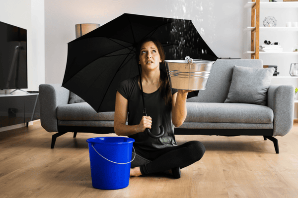 How to Check for Mold After Water Damage A Step-by-Step Guide