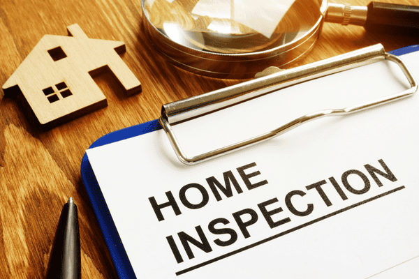 What Happens If They Find Mold In a Home Inspection Your Next Steps Explained