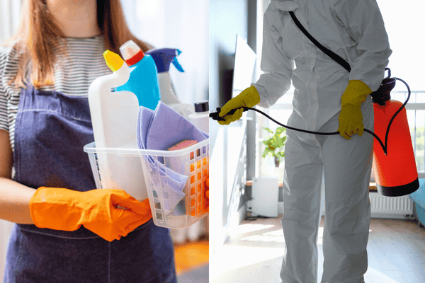 Professional Mold Remediation vs. DIY Mold Removal Pros & Cons