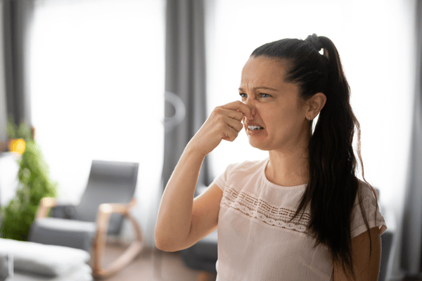 What to Do If You Smell Mold But Can’t See It