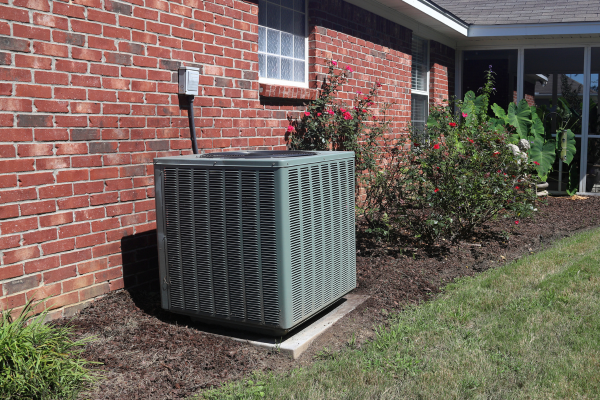 HVAC Mold