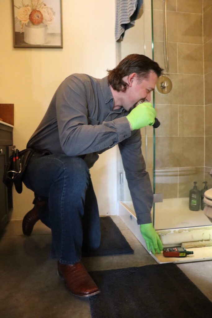Mold Inspection