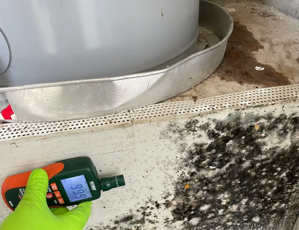 Inspector in a green glove holding a moisture meter against a mold-covered wall beneath a water heater